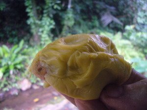 durian glory