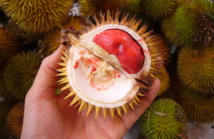durian red